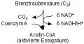 Oxidative Decarboxylierung.jpg