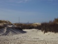 Blick über Düne auf Helgoland.jpg
