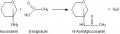 N-Acetylglucosaminbildung.jpg